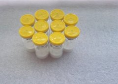 White Color Powder Carnosine from Chinese Supplier