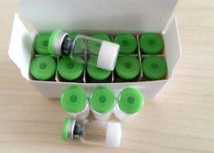 α-MSH (11-13) for Beauty Salons Mechanism