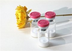 Cosmetics Peptide N-Acetyl Carnosine CAS 56353-15-2