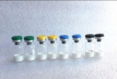 Active Pharmaceutical Ingredient China Pidotimod