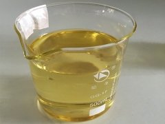 Testosterone Proprionate 100mg/ml for Muscle Gain