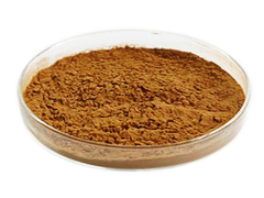 Cinnamon Twig Ramulus Cinnamomi Extract Powder